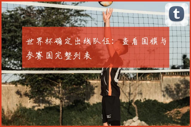 世界杯确定出线队伍：查看国旗与参赛国完整列表